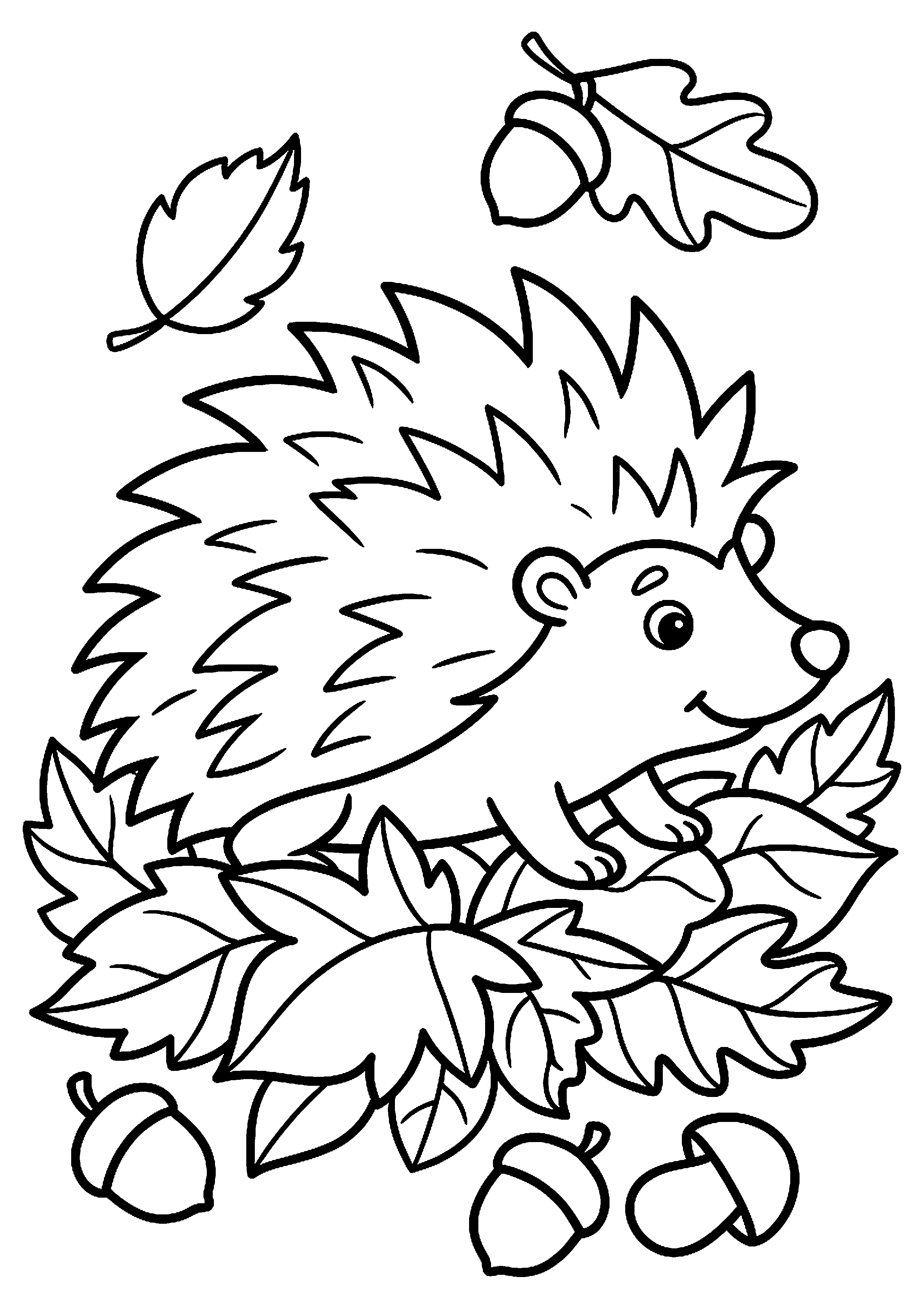 Egel in bladeren kleurplaat — gratis kleurplaat