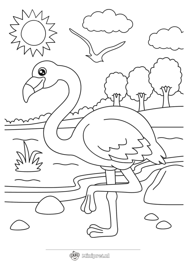 Flamingo in de Jungle kleurplaat — gratis kleurplaat