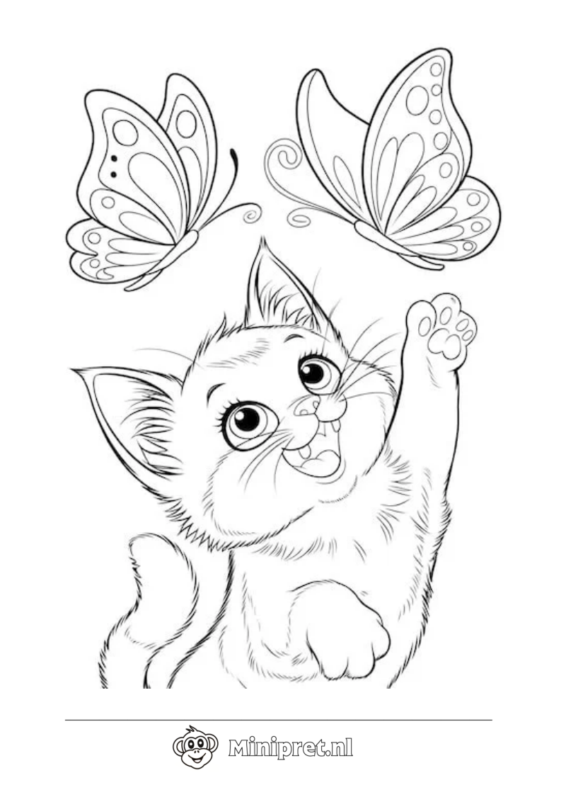 Kat en Vlinder kleurplaat