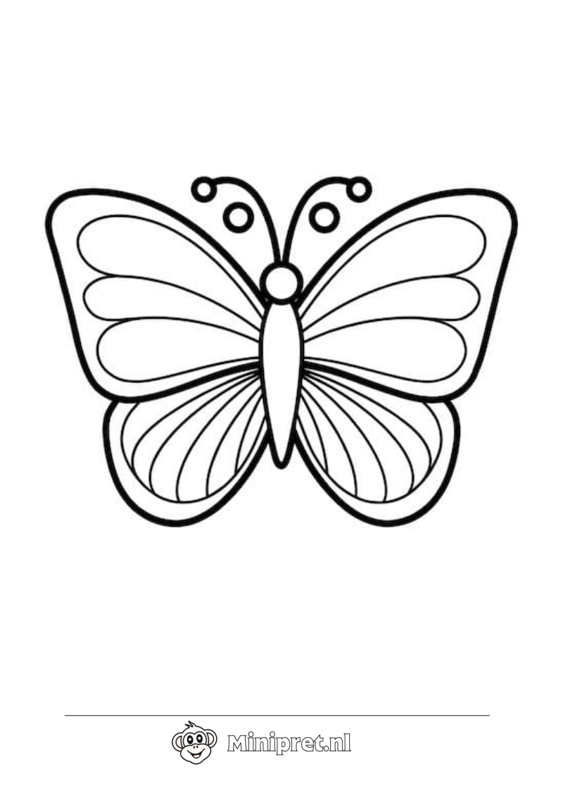 Kleurrijke Vlinder kleurplaat