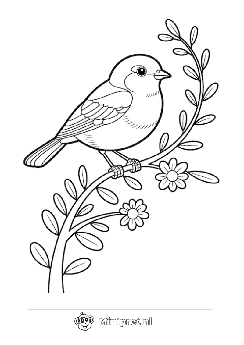 Roodborstje op de Bloesemtak kleurplaat — gratis kleurplaat