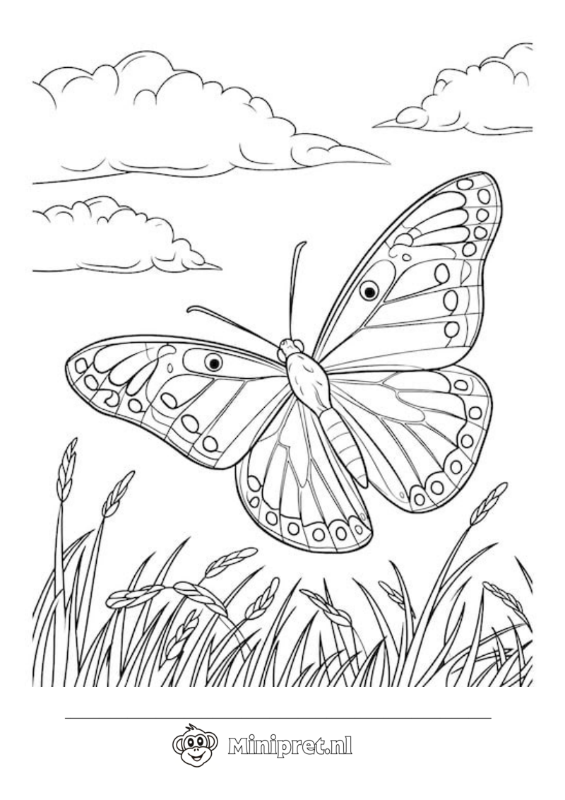 Vlinder in de Zomer kleurplaat — gratis kleurplaat