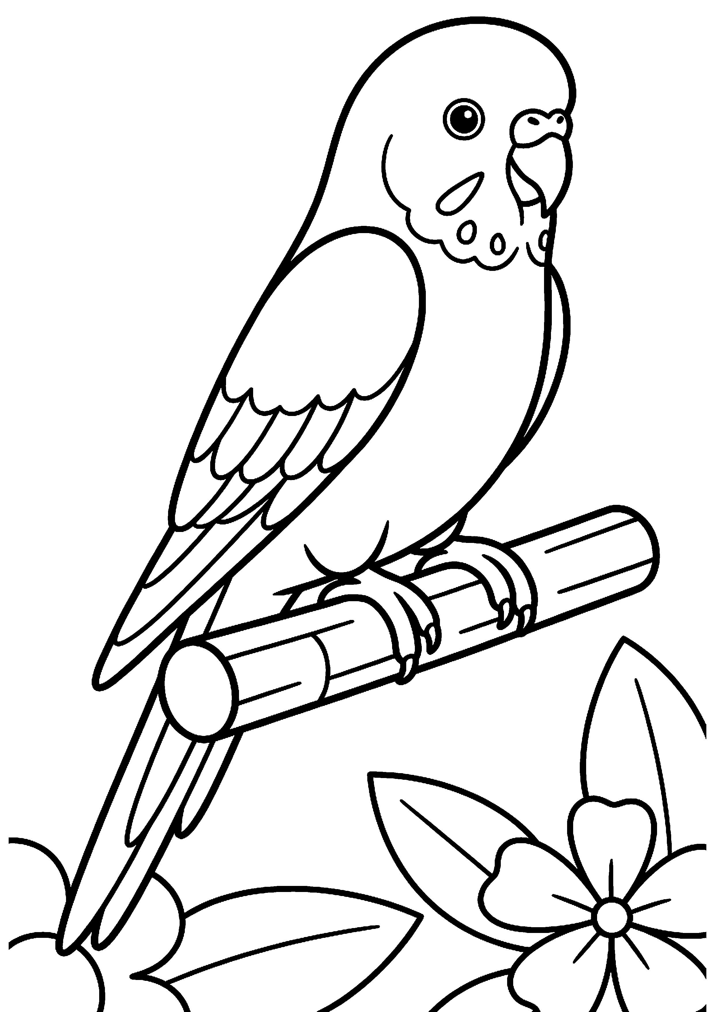 Parkiet op zitstok kleurplaat — gratis kleurplaat