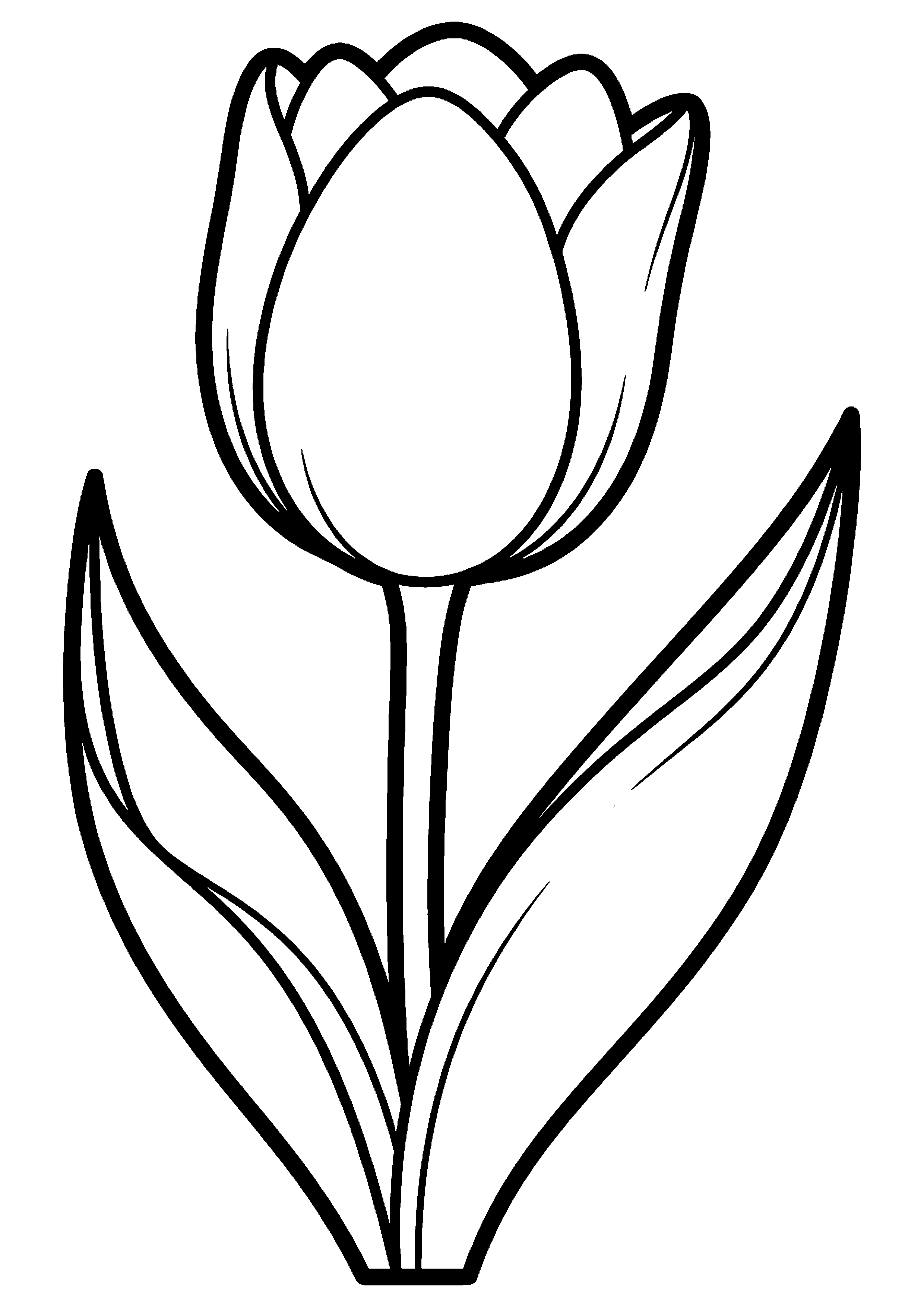 Tulp met blaadjes kleurplaat — gratis kleurplaat printen