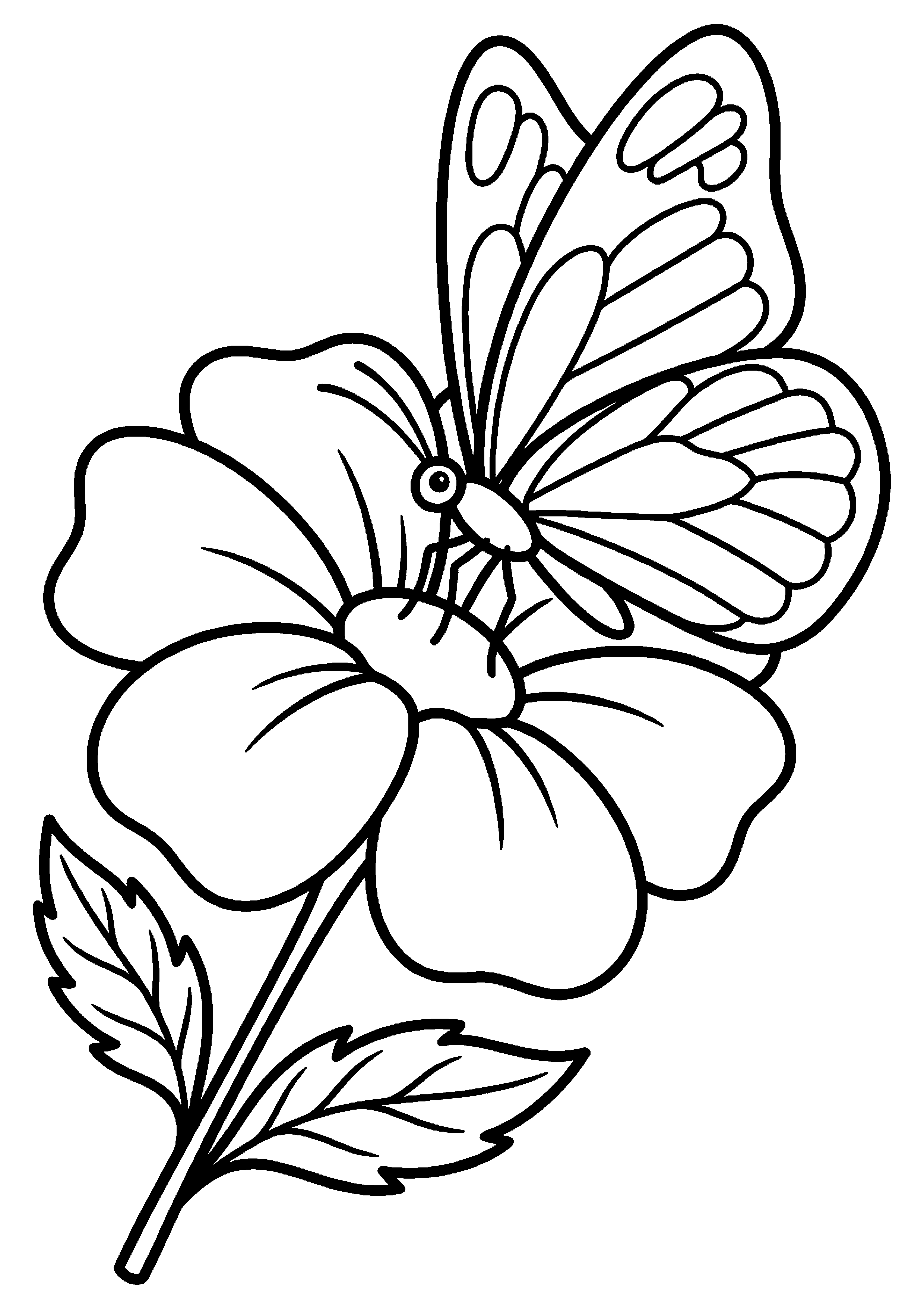 Vlinder op bloem kleurplaat — gratis kleurplaat printen