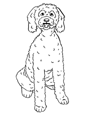 Labradoodle Kleurplaat — gratis kleurplaat printen