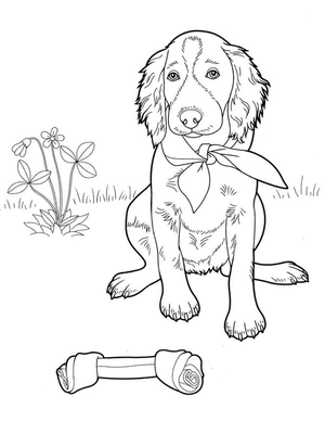 Schattige hond Kleurplaat — gratis kleurplaat printen