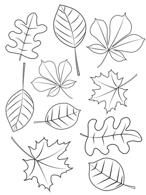 Verschillende herfstbladeren Kleurplaat — gratis kleurplaat