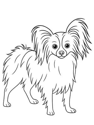 Vlinderhond Kleurplaat — gratis kleurplaat printen